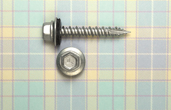 washered screw