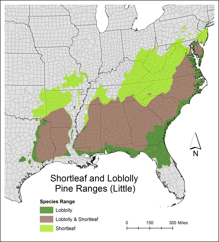 How to Classify Southern Yellow Pine Frame Building News