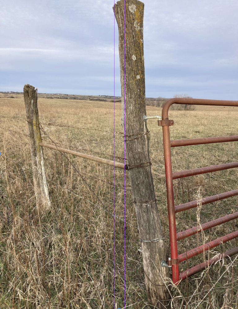 Wood Rot and Best Wood for Ground Contact and Wet Conditions Frame