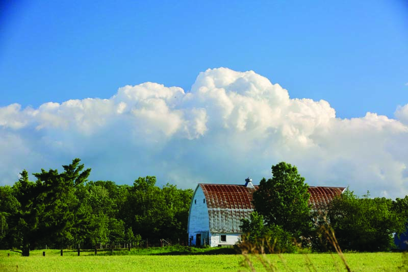 Designing Equestrian Facilities: Planning Horse Barns for Safety, Performance, and Long-Term Value